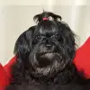 vom Beeketal profile