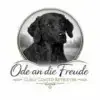 Ode an die Freude profile