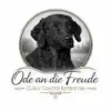 Ode an die Freude profile