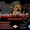 Eastside Staff’s profile