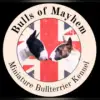 Bulls of Mayhem profile