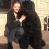 Schwarzer russischer Terrier Welpen - Astra Fidelis FCI profile
