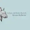 Soul Ocean Bulls profile