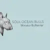 Soul Ocean Bulls profile