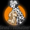Siruna’s profile