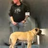 Winchesters Bullmastiffs profile