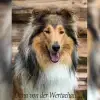 von der Wertachau profile