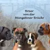 von der Müngstener Brücke profile