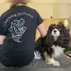 Charming Hurricanes profile