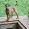 red heartbreaker profile