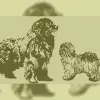 von der Bären-Ranch profile