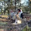 Moorland Elves profile