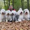 Diamondbears profile