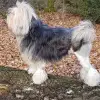 von der Storchenallee profile