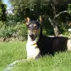 Madra Tales profile