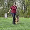 vom großen Eulengarten profile