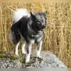 von der Klangquelle profile