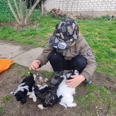 Titelbild von Luch's Black Guardian  in Brandenburg, Heimat unserer Russischer Schwarzer Terrier-Zucht.