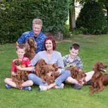 von den Wessendorfer Tannen cover