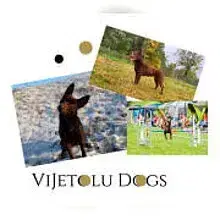 VIJETOLU cover