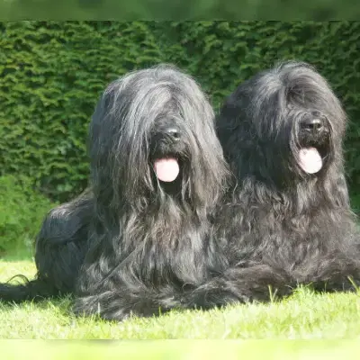 de la Porte de Pantin cover