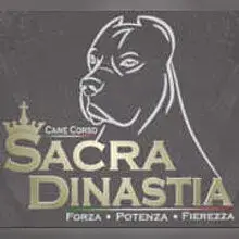 Sacra Dinastia cover