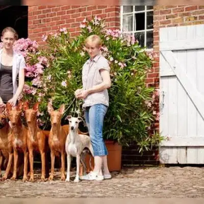 Killarney’s Heartland cover