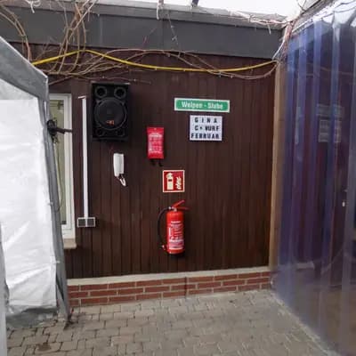 Bild aus Hundezucht vom Bagno in Nordrhein-Westfalen, wo unsere Prager Rattler-Hunde in einer liebevollen Umgebung aufwachsen.
