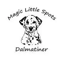 Magic Little Spots cover