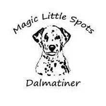 Magic Little Spots cover