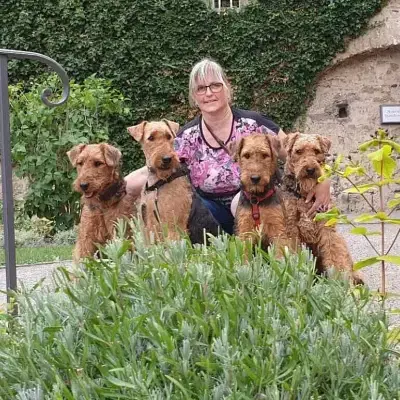 vom Schloss Bibra cover