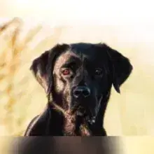 Welcome To Your Life cover