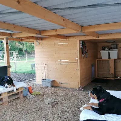 Galerie-Bild von W U R F P L A N U N G  - Großer Schweizer Sennenhund Welpen in Baden-Württemberg, mit Eindrücken unserer Großer Schweizer Sennenhund-Zucht.