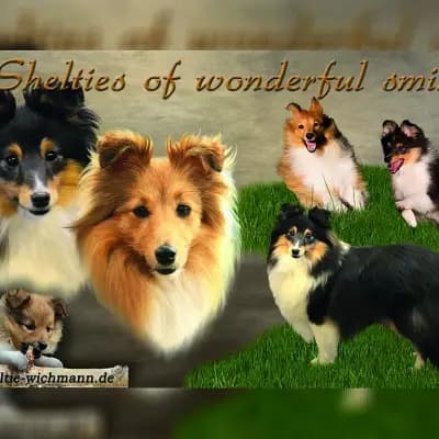 of Wonderful smile cover