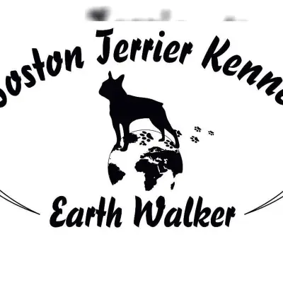 Earth Walker cover