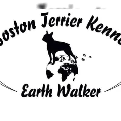 Earth Walker cover