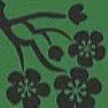 von der Blütenstadt Orsoy cover