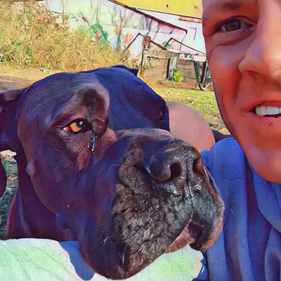 Galerie-Bild von Saupackerwelpen in Mecklenburg-Vorpommern, mit Eindrücken unserer Cane Corso Italiano-Zucht.
