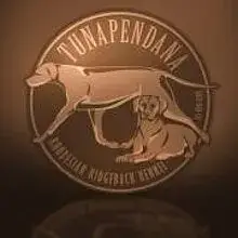 Tunapendana cover