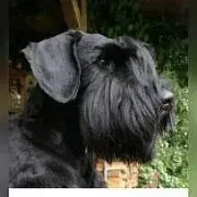 von Ann-Chateau cover