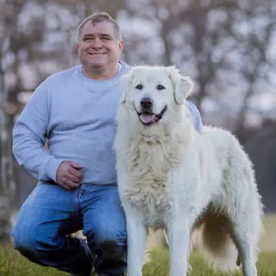 Galerie-Bild von Wigdalir Kuvasz Zucht nur mit Ungarischen Linien in Niedersachsen, mit Eindrücken unserer Kuvasz-Zucht.