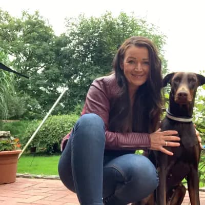 Galerie-Bild von Dobermann Kennel of Fascinating Dogs in Niedersachsen, mit Eindrücken unserer Dobermann-Zucht.