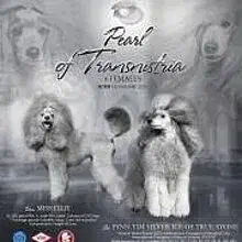 Pearl of Transnistria cover