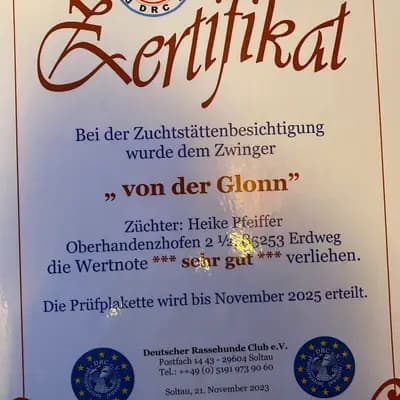 Bild aus Lagottis von der Glonn in Bayern, wo unsere Lagotto Romagnolo-Hunde in einer liebevollen Umgebung aufwachsen.