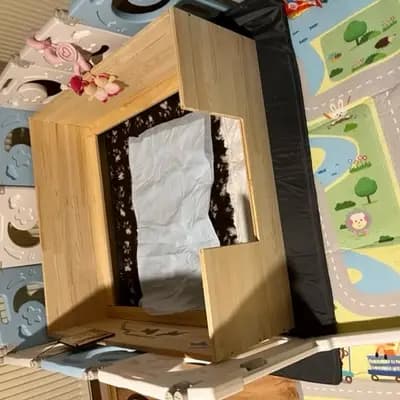 Bild aus Hundezucht vd Schönefelder Höhe in Brandenburg, wo unsere English Cocker Spaniel-Hunde in einer liebevollen Umgebung aufwachsen.