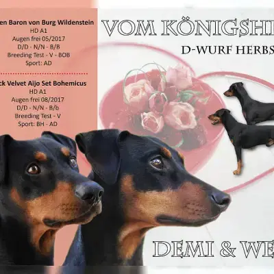 vom Königsherz cover