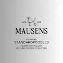 Mausens cover