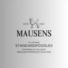 Mausens cover