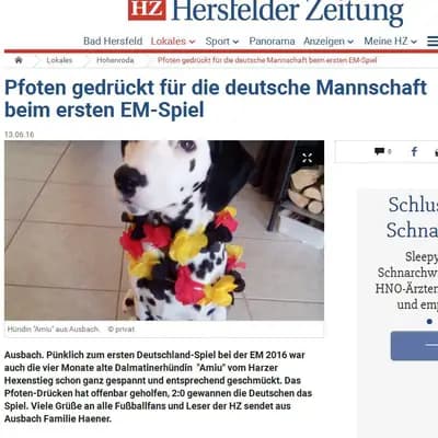 Aramis – Dalmatiner Welpe, Sachsen-Anhalt, Aufgezogen von Dalmatiner vom Harzer Hexenstieg