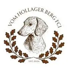 vom Hollager Berg cover